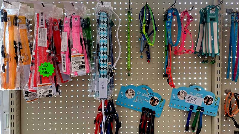 Dog-Collars,-Leads-&-Harnesses