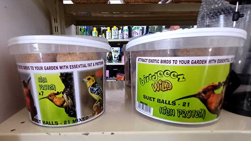 Exotic-bird-food