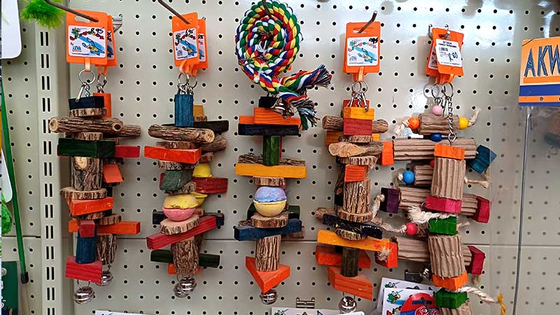 Parrot-cage-accessories