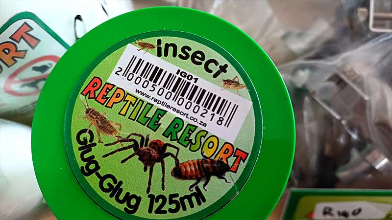 Reptile-Resort-glug-glug-is-a-jelly-like-water-used-as-a-water-source-for-insects-and-spiders.