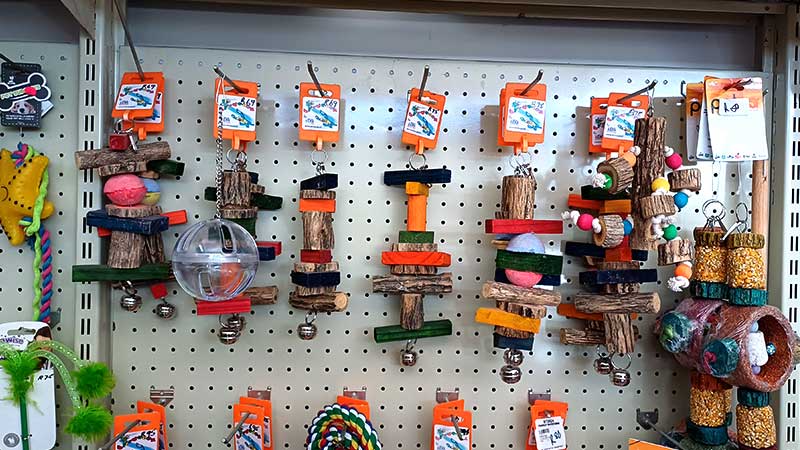bird-and-parrot-toys