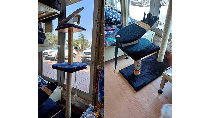 cat-stands