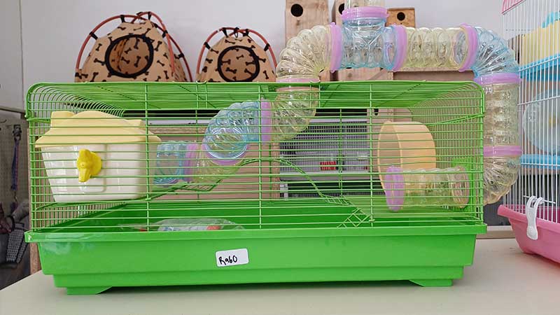 hamster-cage